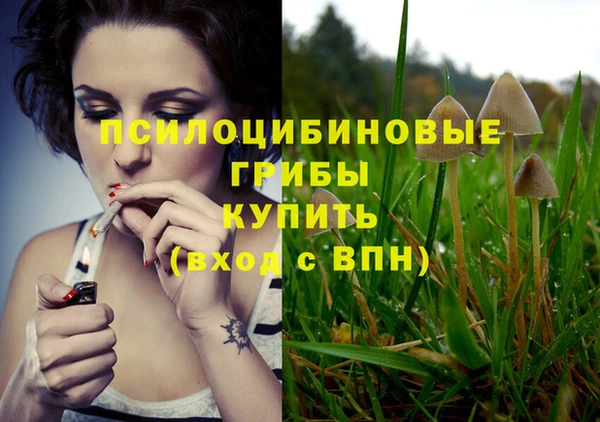 дживик Магас