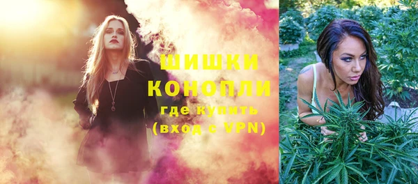дживик Магас