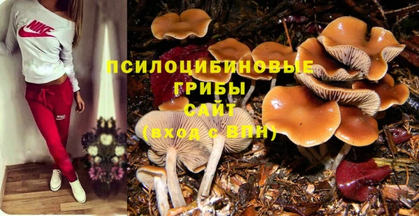 дживик Магас